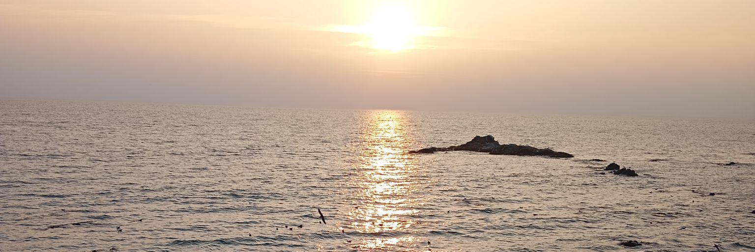AnaBermont's profile banner image