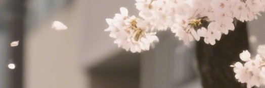 yuihofficial's profile banner image