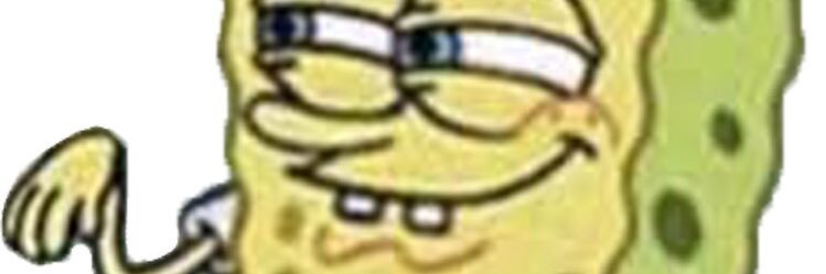s banner