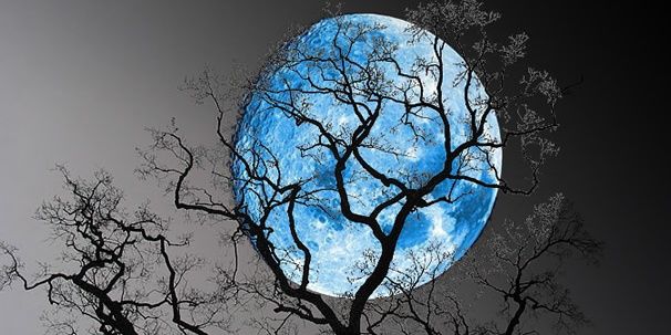 Pandaa_LoOve's profile banner image