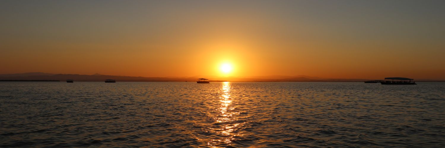 Cristina Pozo García banner