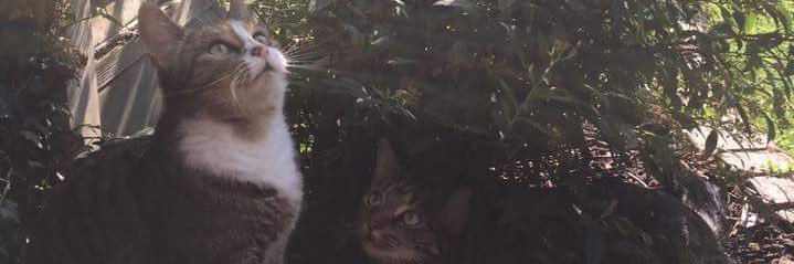 OM4RKS's profile banner image