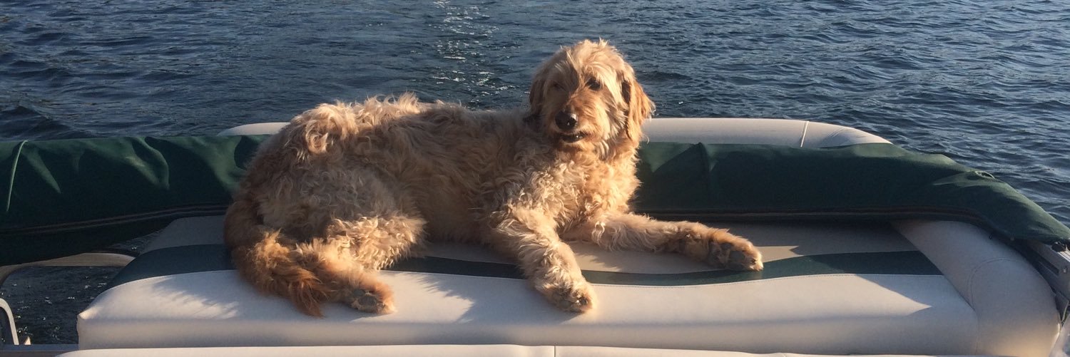 rudiharry's profile banner image