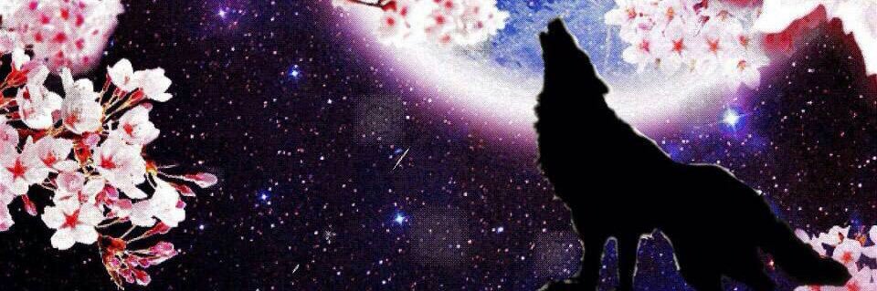 クロア🐺 banner