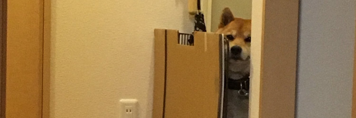 tamaru4151's profile banner image