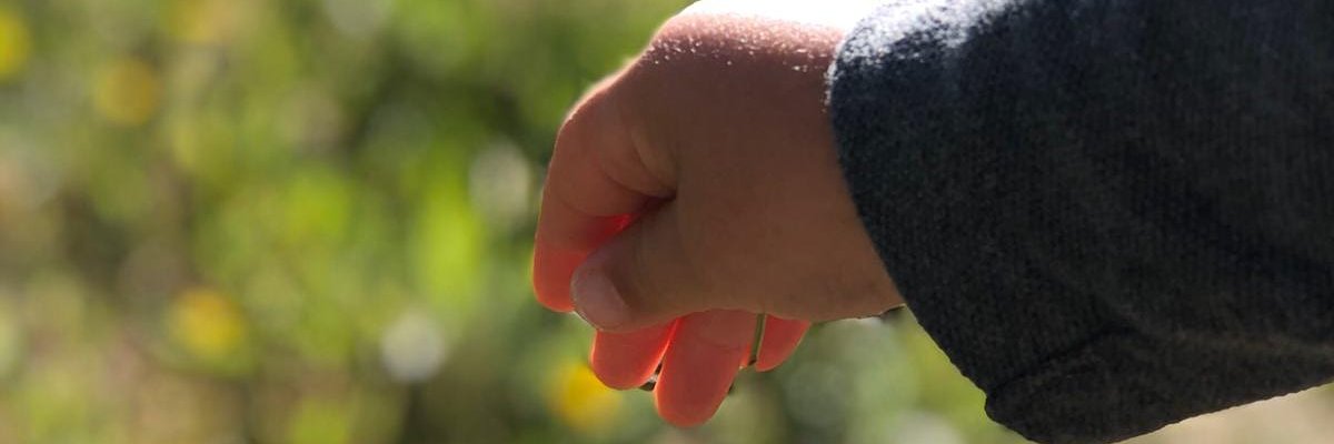 Bequicolibri's profile banner image