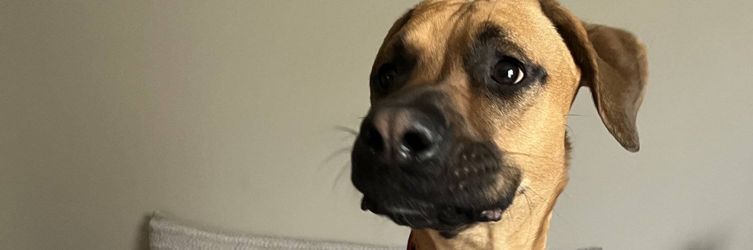 sierraaa_v's profile banner image