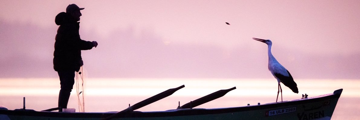 esengok_'s profile banner image