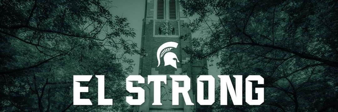 West Michigan Spartans banner