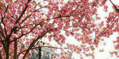 Anisa__2010's profile banner image