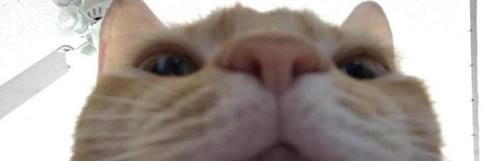 Letsbpa's profile banner image