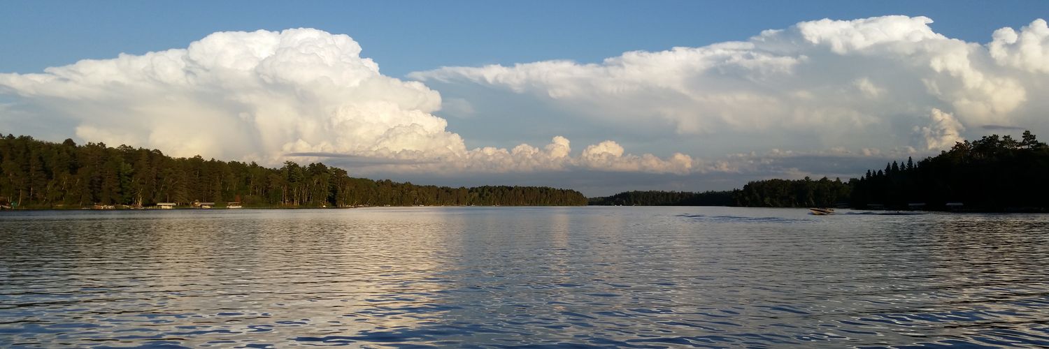 alynnes88's profile banner image