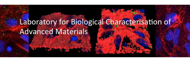 LBCAM banner