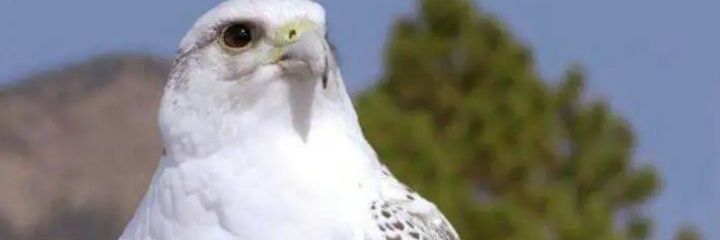 hotmai_5's profile banner image