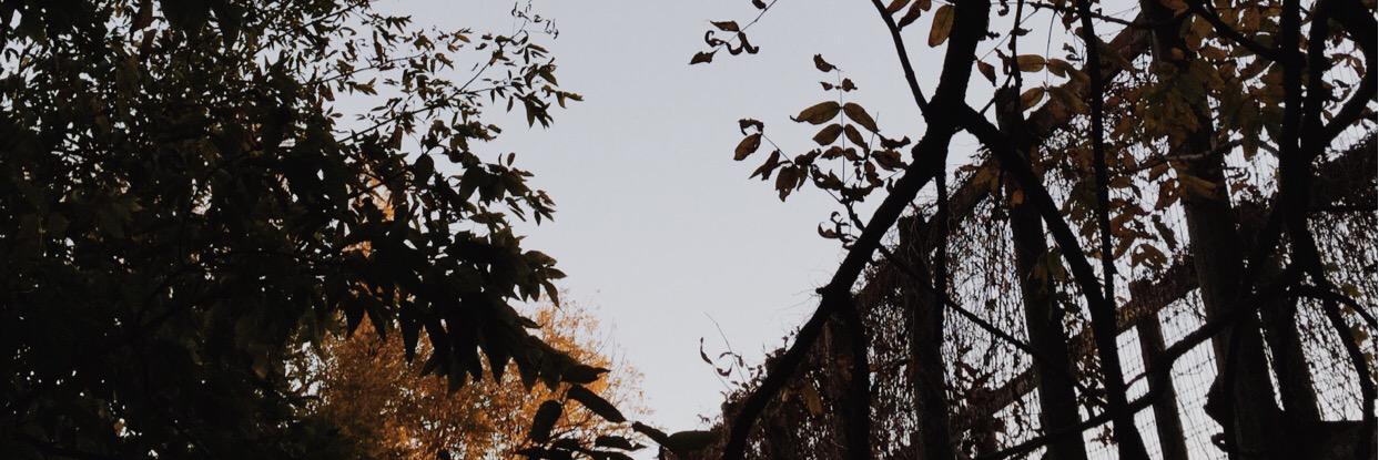 KnottKayla's profile banner image