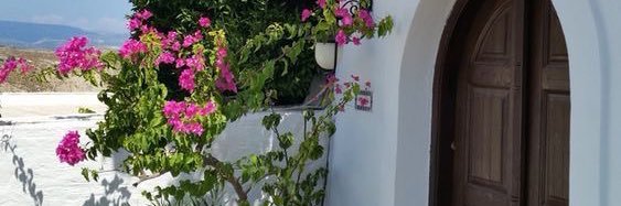blancaaramon's profile banner image