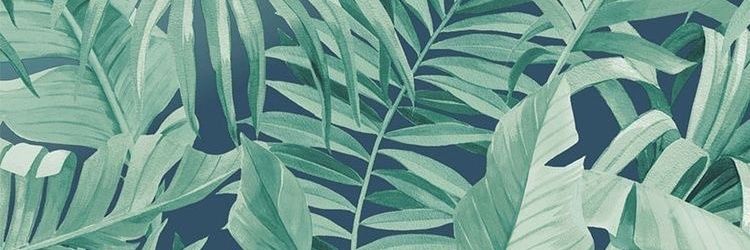 tiongkey's profile banner image