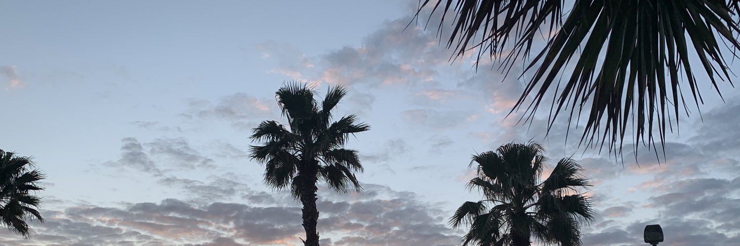 oktaylorr's profile banner image