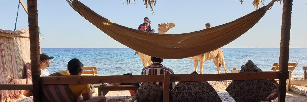 _MostaPha_Taha's profile banner image