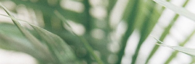 ChanelDeme's profile banner image