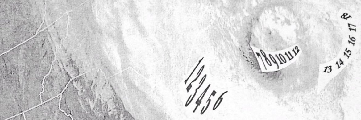 TL Brown banner