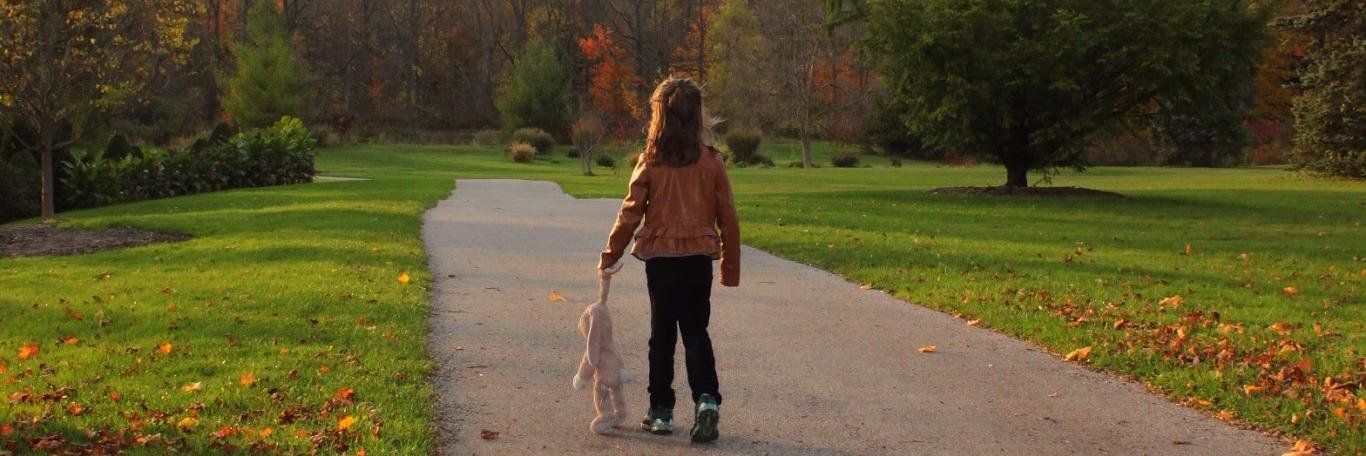 3Plus a Bunny banner