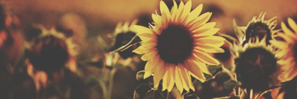 natgled's profile banner image