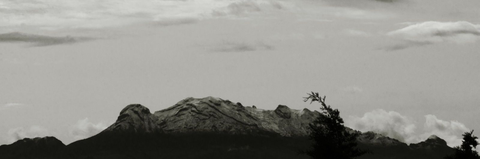 bocbuoc's profile banner image
