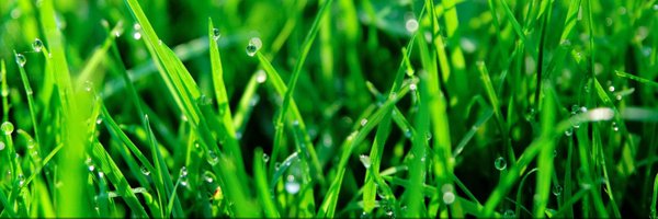 PearseKelly4 Profile Banner