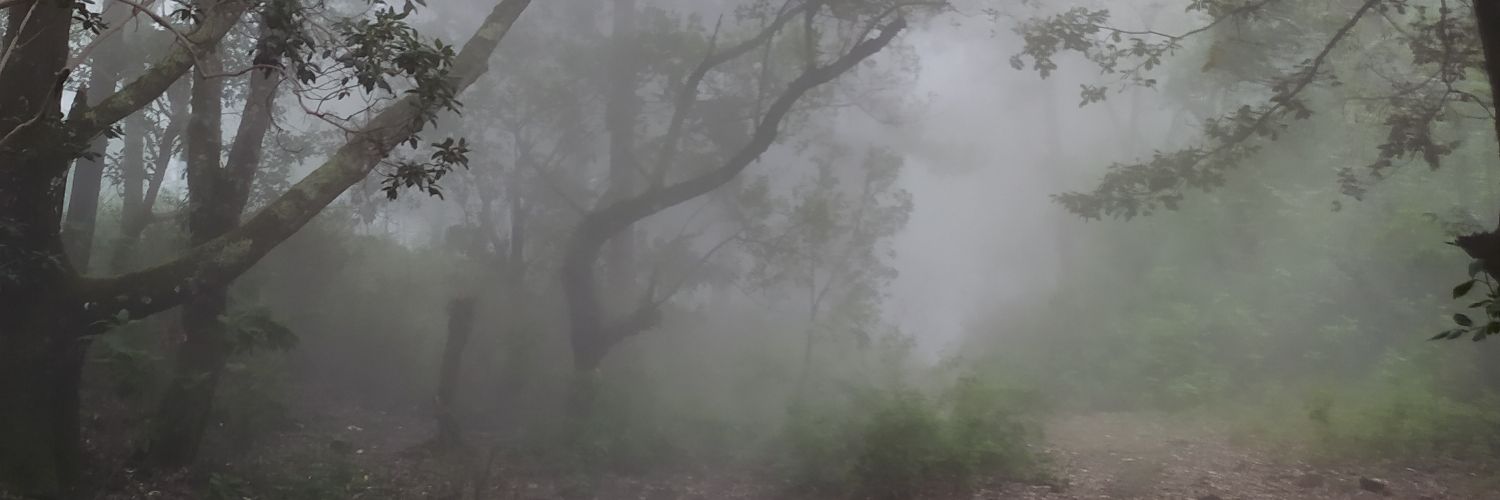 binichbella's profile banner image