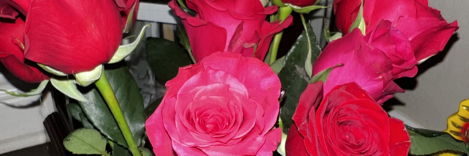shayroseram's profile banner image