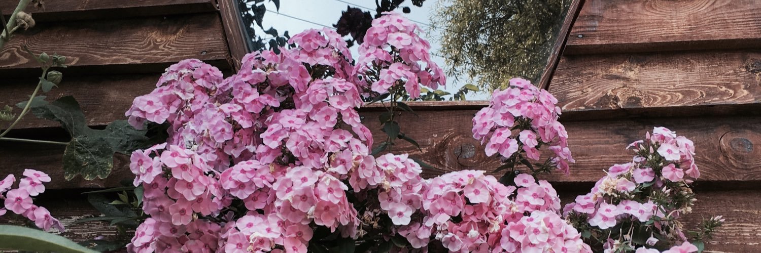 ofluveofkeli's profile banner image