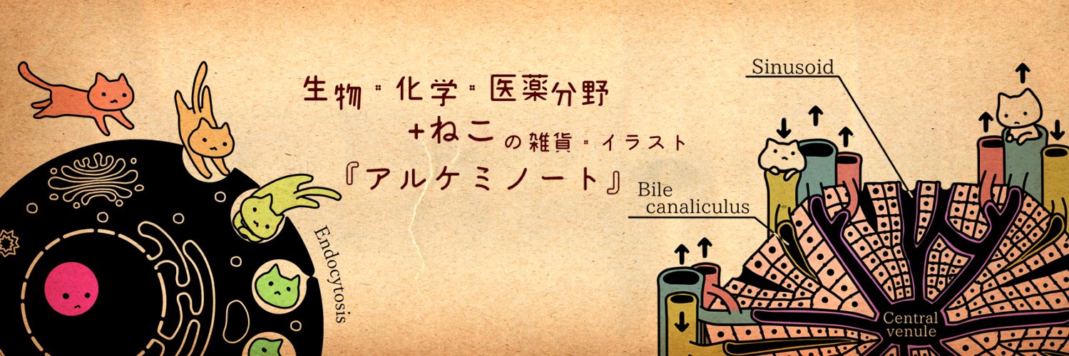 アルケミノート@20時から新作通販🌟ﾛｰｿﾝﾌﾟﾘﾝﾄ第2弾販売中's banner