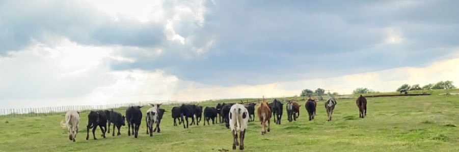 CollinMcDaniel4's profile banner image