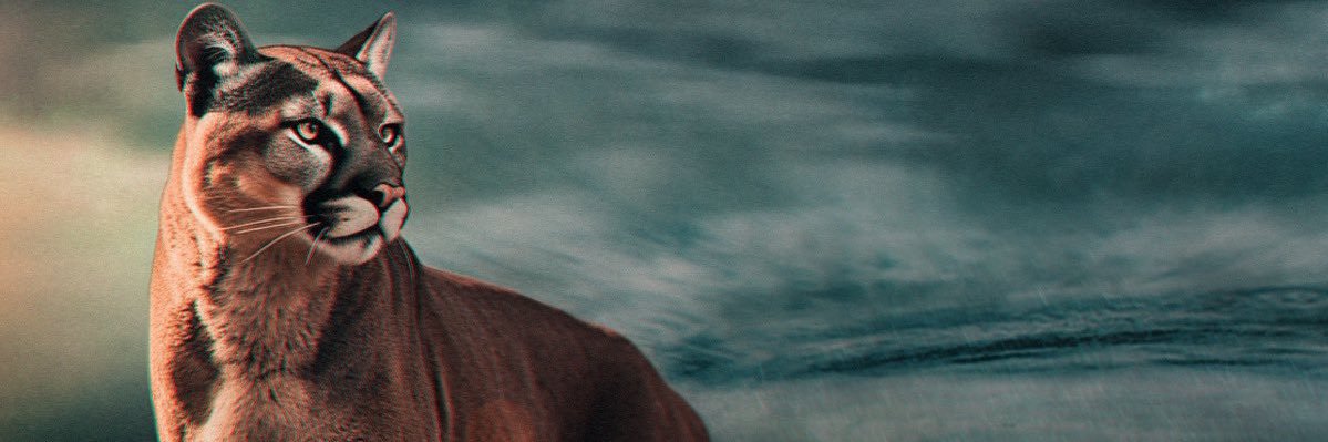 Gui banner