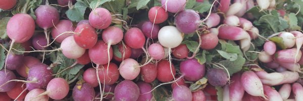 SantaCruzRiver Profile Banner