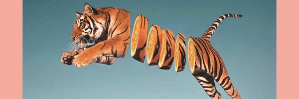 RoArriscado Profile Banner