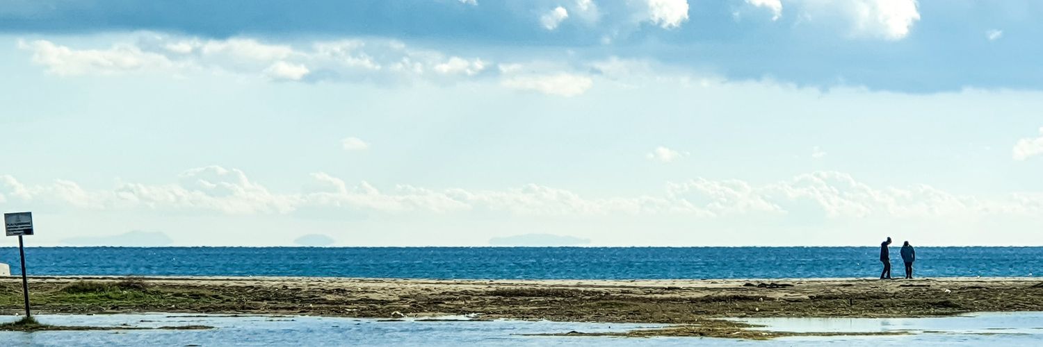 ecesans's profile banner image