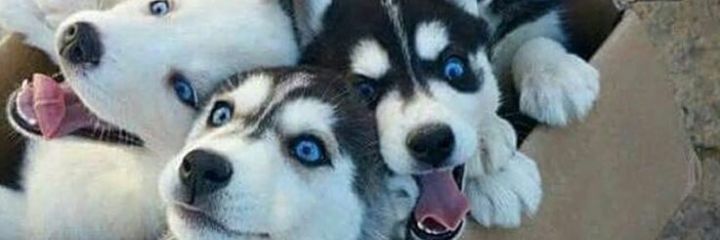 Ivan96v's profile banner image