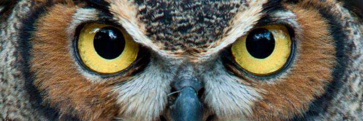 WindsorHigh2018's profile banner image