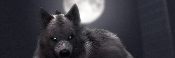 LouGarugri's profile banner image