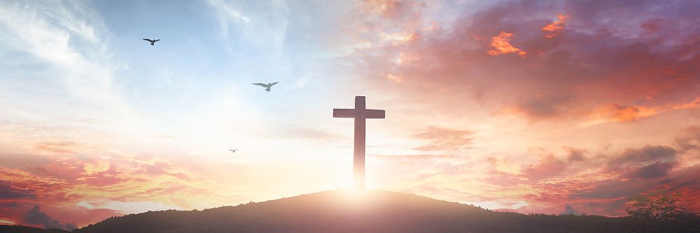 Steven Sessegnon banner