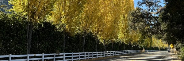 KravitzHelga Profile Banner