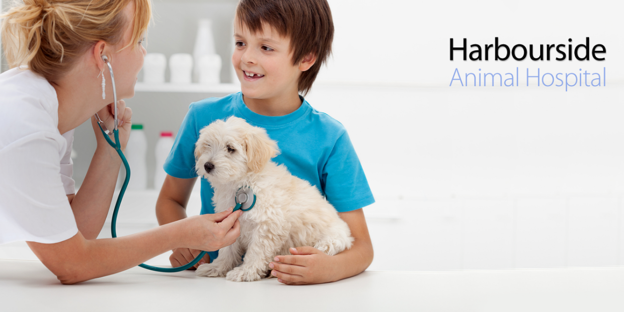 Harboursidevet's profile banner image
