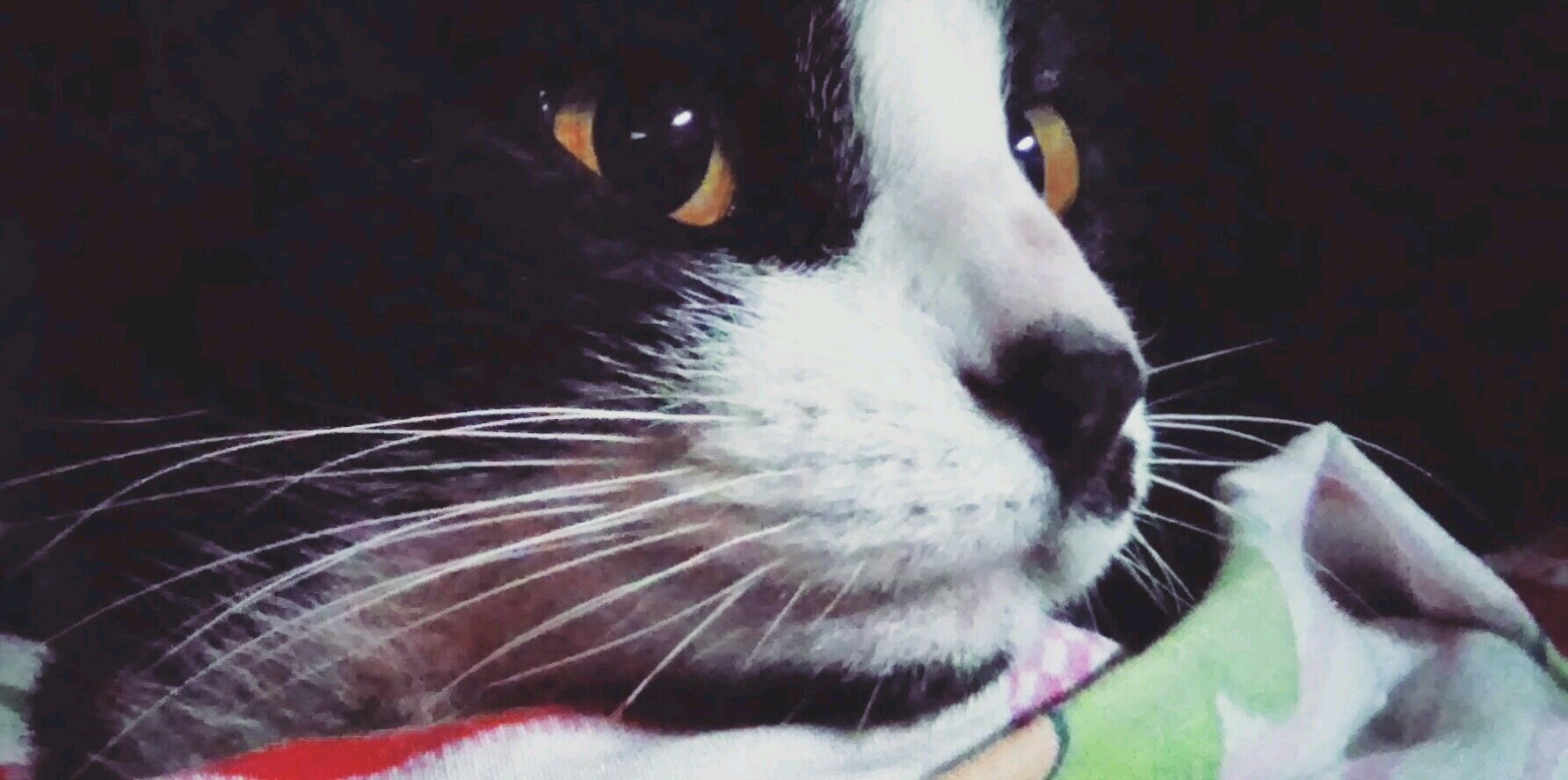 Guchi014's profile banner image