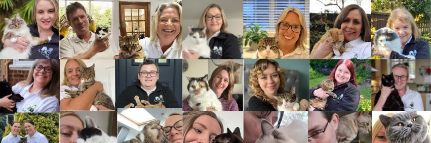 The Cat Butler 🐈 banner