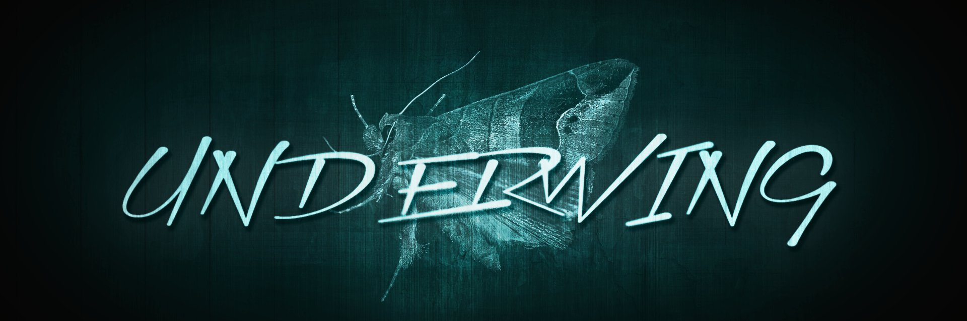 underwingband's profile banner image