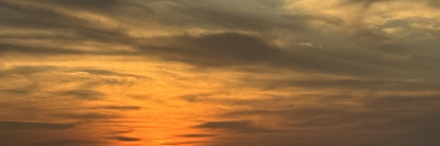 badgina_'s profile banner image