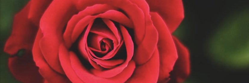 MindfulFocus's profile banner image
