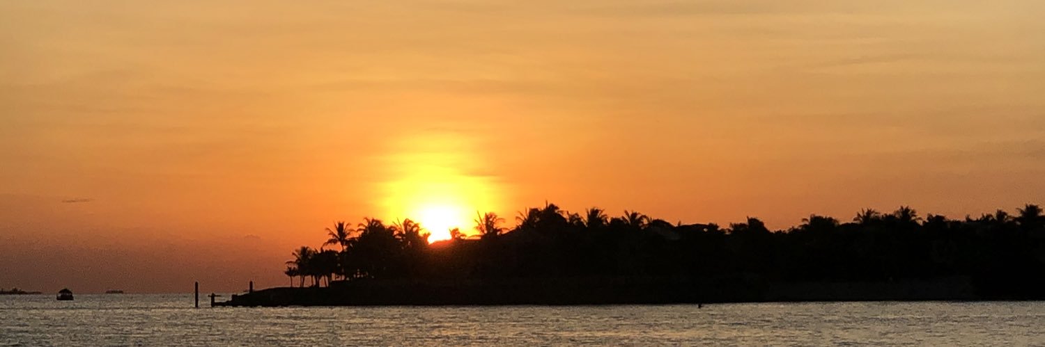 debbie_ladd's profile banner image